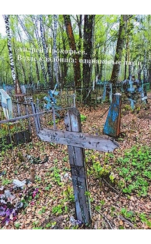 Обложка книги «Возле кладбища: одинаковые люди» автора Андрея Прокофьева. ISBN 9785449875020.