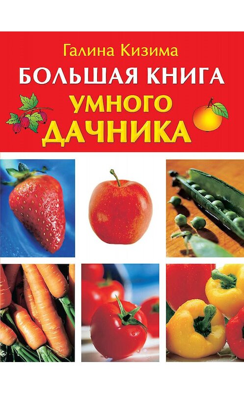 Обложка книги «Большая книга умного дачника» автора Галиной Кизимы издание 2010 года. ISBN 9785170583591.