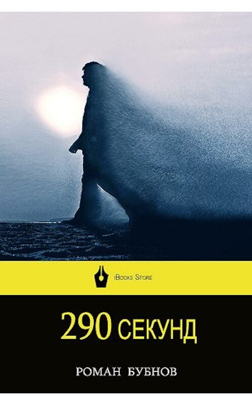 Обложка книги «290 секунд» автора Романа Бубнова.