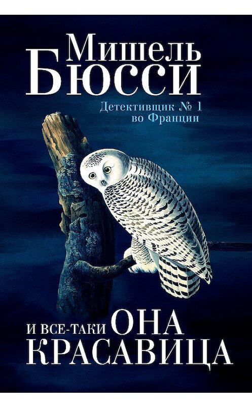 Обложка книги «И все-таки она красавица» автора Мишель Бюсси издание 2019 года. ISBN 9785864718001.