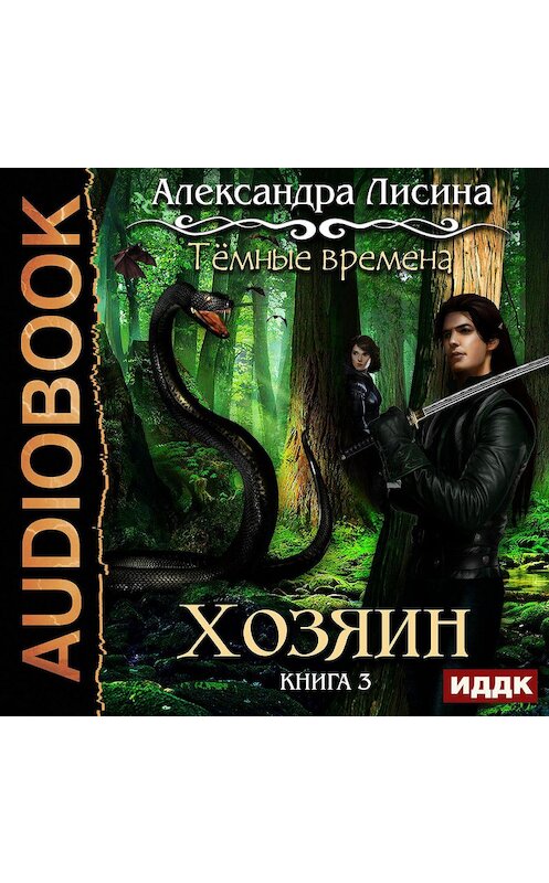 Обложка аудиокниги «Темные времена. Хозяин» автора Александры Лисины.