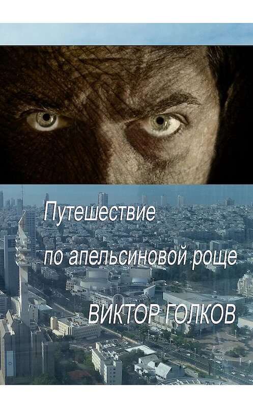 Обложка книги «Путешествие по апельсиновой роще» автора Виктора Голкова издание 2016 года. ISBN 9785000392669.