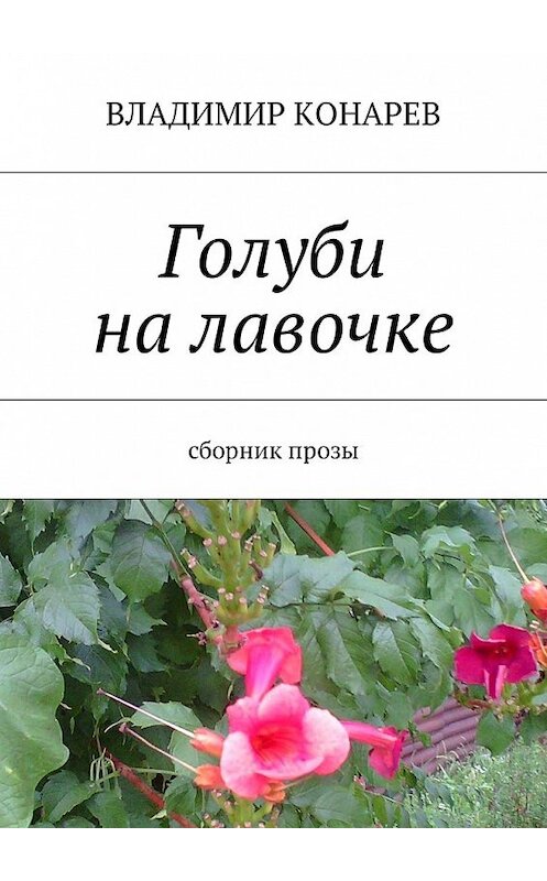 Обложка книги «Голуби на лавочке. Сборник прозы» автора Владимира Конарева. ISBN 9785448594335.