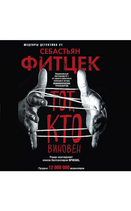 Обложка аудиокниги «Тот, кто виновен» автора Себастьяна Фитцека.
