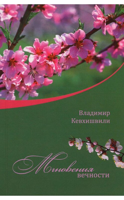 Обложка книги «Мгновения Вечности» автора Владимир Кевхишвили.