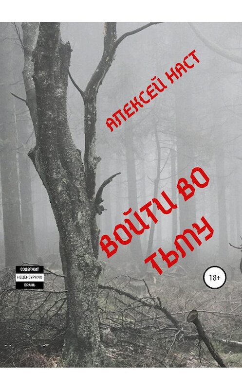 Обложка книги «Войти во тьму» автора Алексея Наста издание 2020 года. ISBN 9785532124820.