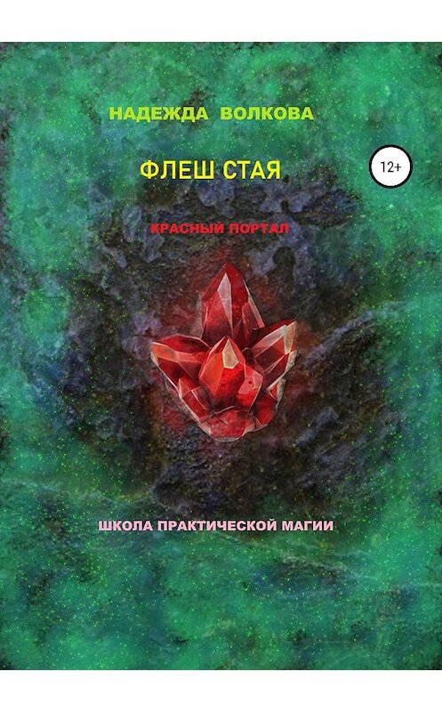 Обложка книги «Флеш Стая. Красный портал. Школа практической магии» автора Надежды Волковы издание 2019 года.