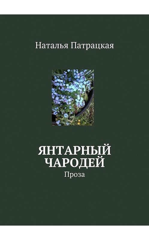 Обложка книги «Янтарный чародей. Проза» автора Натальи Патрацкая. ISBN 9785448542015.