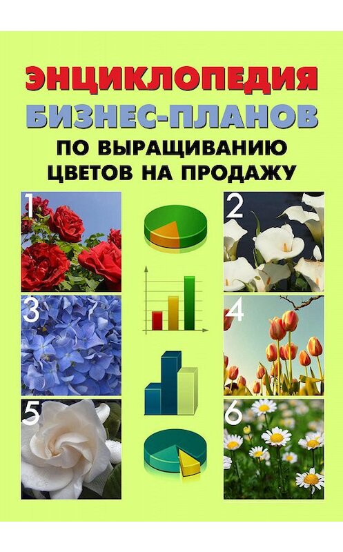 Обложка книги «Энциклопедия бизнес-планов по выращиванию цветов на продажу» автора .