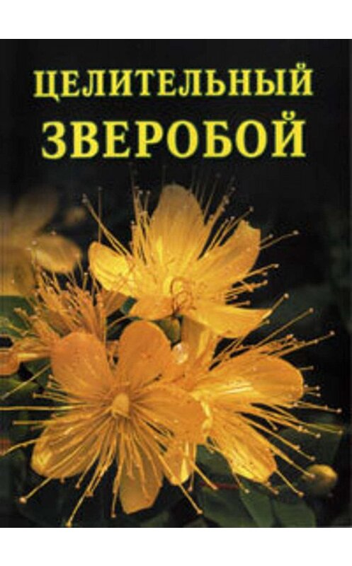 Обложка книги «Целительный зверобой» автора Ивана Дубровина издание 2006 года.