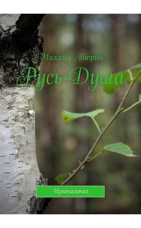 Обложка книги «Русь-душа. Изначальная» автора Михаила Тюрина. ISBN 9785449037381.