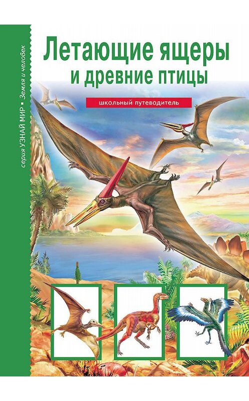 Обложка книги «Летающие ящеры и древние птицы» автора Юлии Дунаевы издание 2018 года. ISBN 9785912333156.