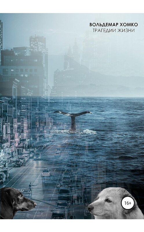 Обложка книги «Трагедии жизни» автора Вольдемар Хомко издание 2020 года.