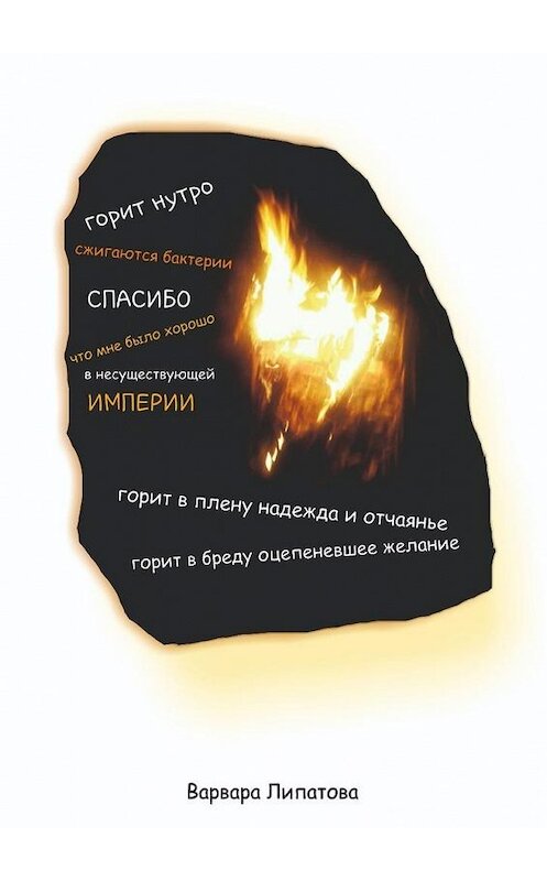 Обложка книги «Горит нутро» автора Варвары Липатовы. ISBN 9785449358066.