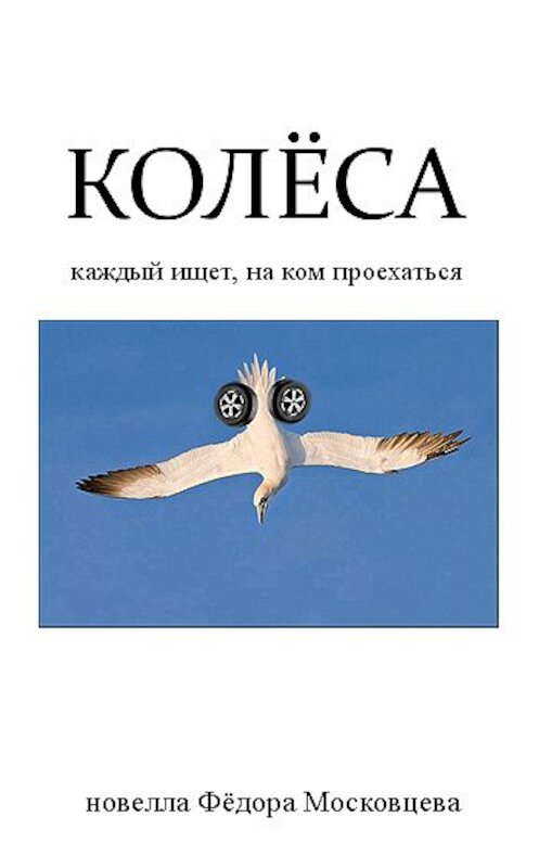 Обложка книги «Колеса» автора Федора Московцева.