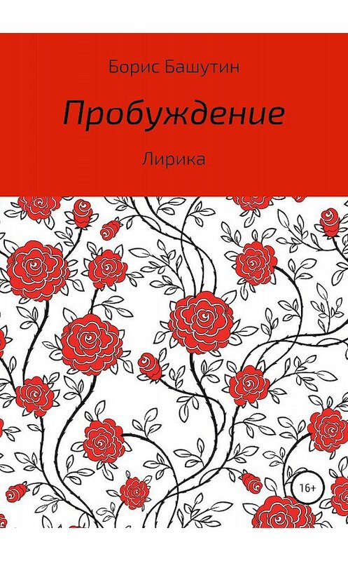 Обложка книги «Пробуждение» автора Бориса Башутина издание 2018 года.