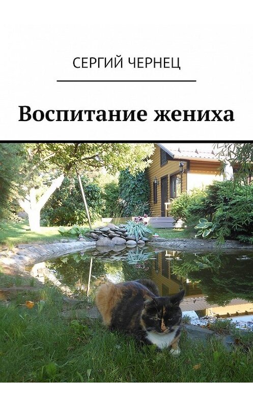 Обложка книги «Воспитание жениха» автора Сергия Чернеца. ISBN 9785449626158.