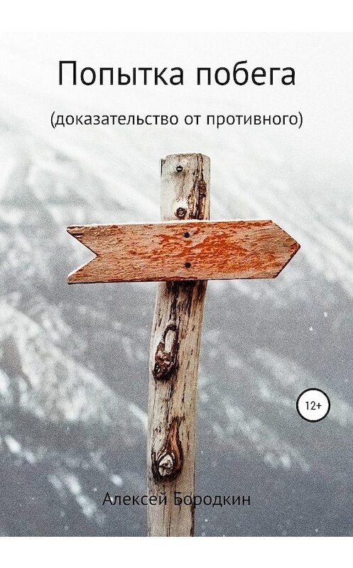 Обложка книги «Попытка побега» автора Алексея Бородкина издание 2020 года.