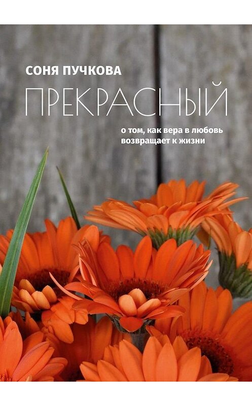 Обложка книги «Прекрасный. О том, как вера в любовь возвращает к жизни» автора Сони Пучковы. ISBN 9785005107213.