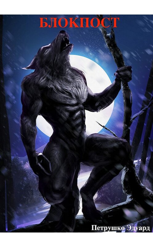 Обложка книги «Блокпост» автора Эдуард Петрушко издание 2018 года.