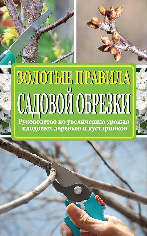 Обложка книги «Золотые правила садовой обрезки. Руководство по увеличению урожая плодовых деревьев и кустарников» автора Ириной Окуневы издание 2015 года. ISBN 9785170889877.