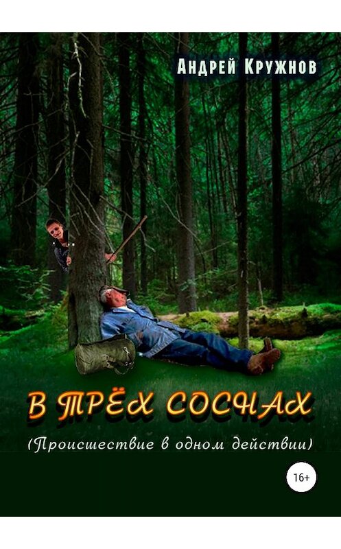 Обложка книги «В трёх соснах» автора Андрея Кружнова издание 2018 года.