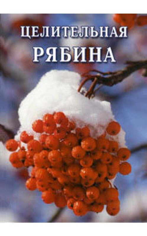 Обложка книги «Целительная рябина» автора Ивана Дубровина издание 2006 года.