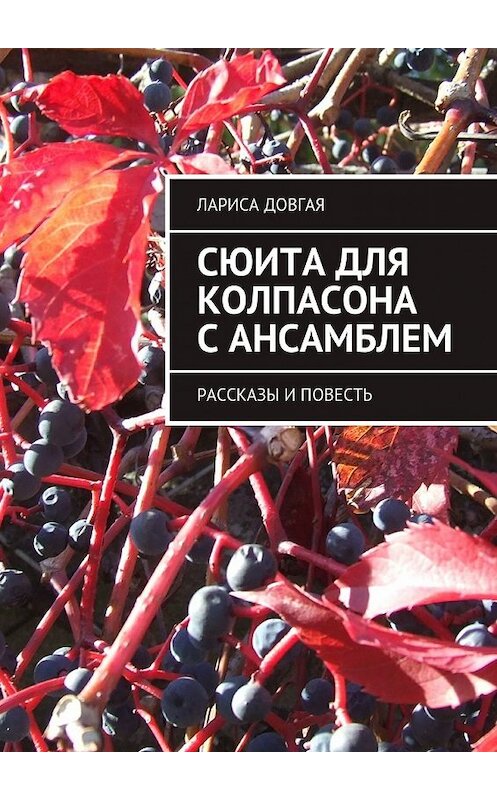 Обложка книги «Сюита для колпасона с ансамблем. Рассказы и повесть» автора Лариси Довгая. ISBN 9785448351228.