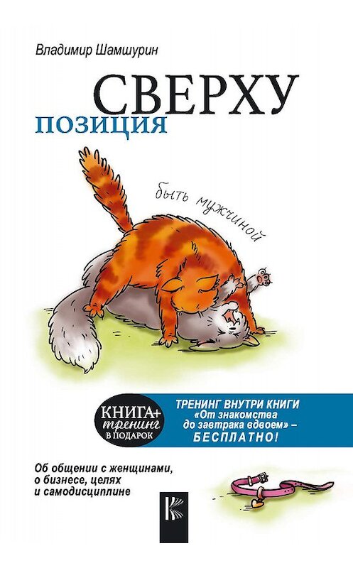 Обложка книги «Позиция сверху: быть мужчиной» автора Владимира Шамшурина издание 2017 года. ISBN 9785171012991.