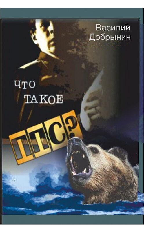 Обложка книги «Что такое ППС?» автора Василия Добрынина.
