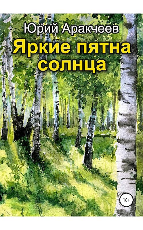 Обложка книги «Яркие пятна солнца» автора Юрия Аракчеева издание 2019 года.