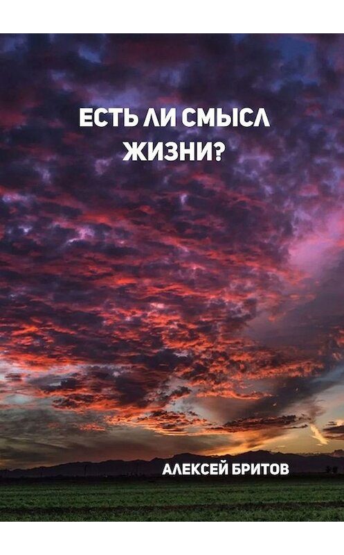 Обложка книги «Есть ли смысл жизни?» автора Алексея Бритова. ISBN 9785005096319.
