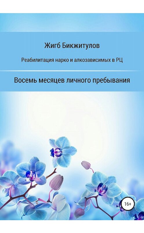 Обложка книги «Реабилитация нарко- и алкозависимых в РЦ. Восемь месяцев личного пребывания» автора Жигба Бикжитулова издание 2020 года.