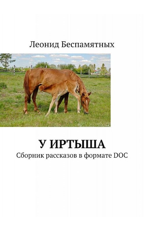 Обложка книги «У Иртыша. Сборник рассказов в формате DOC» автора Леонида Беспамятныха. ISBN 9785449674258.