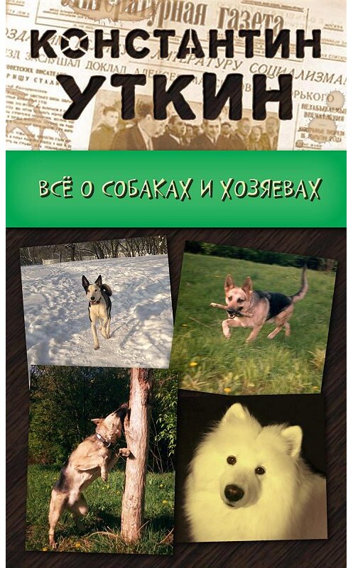 Обложка книги «Кинология. Всё о собаках и хозяевах» автора Константина Уткина издание 2009 года.