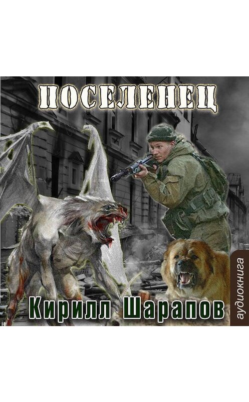 Обложка аудиокниги «Мёртвый мир. Поселенец» автора Кирилла Шарапова.
