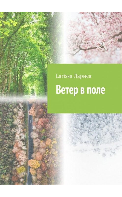 Обложка книги «Ветер в поле» автора Larissa Ларисы. ISBN 9785005169945.