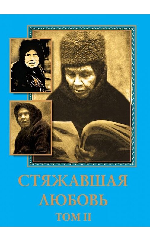 Обложка книги «Стяжавшая любовь. Том 2» автора А. Савчука. ISBN 9785005137678.