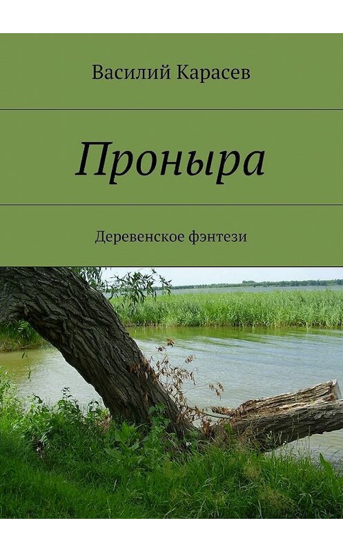 Обложка книги «Проныра. Деревенское фэнтези» автора Василия Карасева. ISBN 9785448530654.