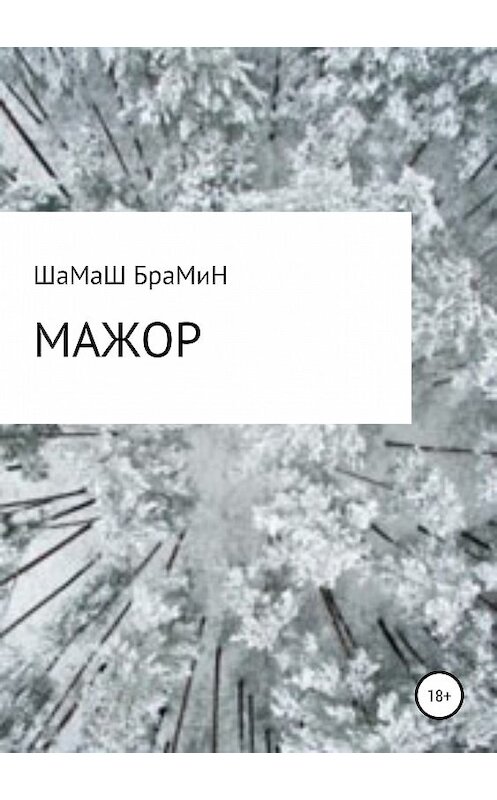 Обложка книги «Мажор» автора Шамаша Брамина издание 2019 года.