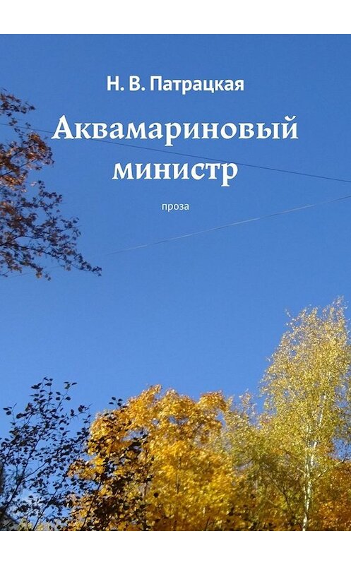 Обложка книги «Аквамариновый министр. Проза» автора Н. Патрацкая. ISBN 9785005049230.