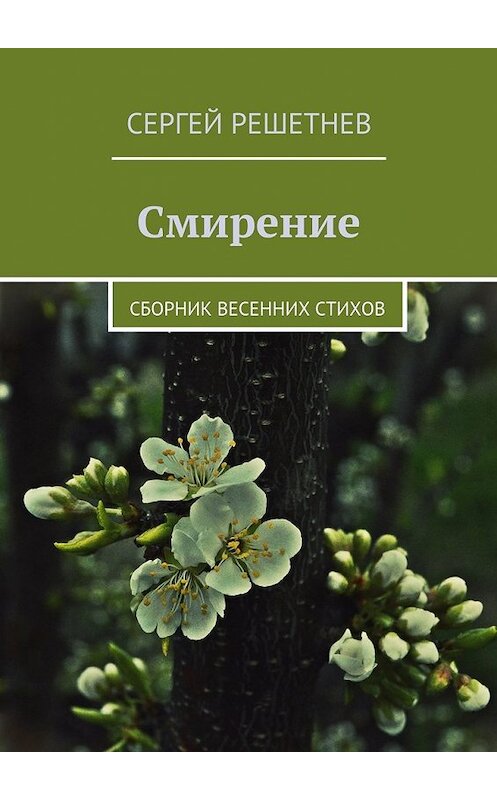 Обложка книги «Смирение» автора Сергея Решетнёва. ISBN 9785447436506.