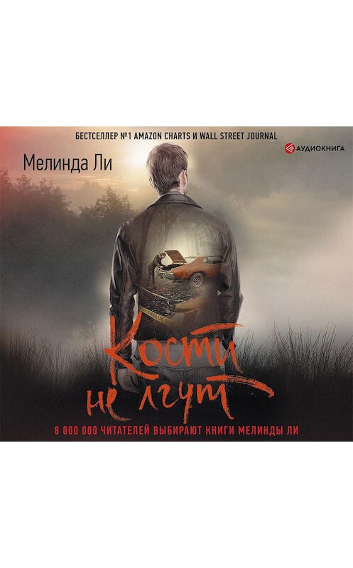 Обложка аудиокниги «Кости не лгут» автора Мелинды Ли.