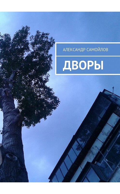 Обложка книги «Дворы» автора Александра Самойлова. ISBN 9785448544286.