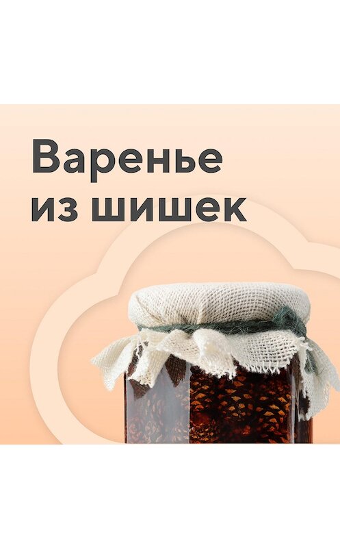 Обложка аудиокниги «Бухгалтер: свой, чужой или никакой» автора .