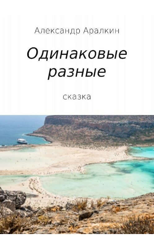 Обложка книги «Одинаковые разные» автора Александра Аралкина издание 2017 года.