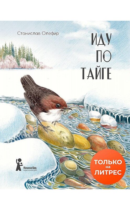 Обложка книги «Иду по тайге» автора Станислава Олефира издание 2020 года. ISBN 9785000837238.