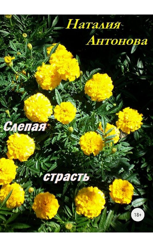 Обложка книги «Слепая страсть» автора Наталии Антоновы издание 2018 года.