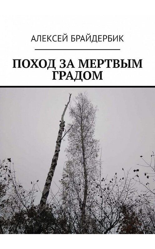 Обложка книги «ПОХОД ЗА МЕРТВЫМ ГРАДОМ» автора Алексея Брайдербика. ISBN 9785005189530.