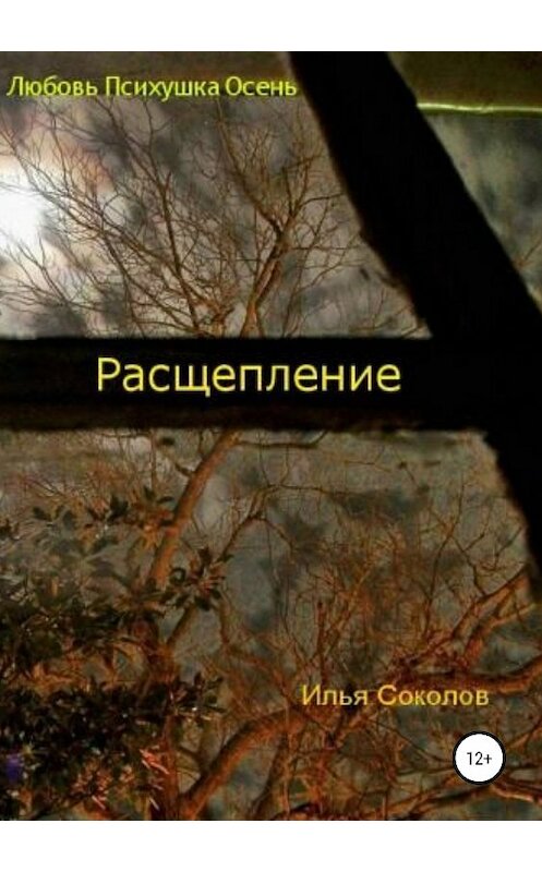 Обложка книги «Расщепление» автора Ильи Соколова издание 2019 года.